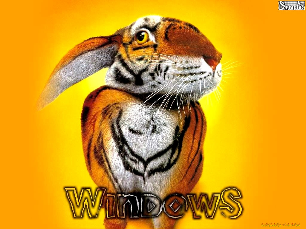 , windows, 98, 95